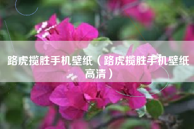 路虎揽胜手机壁纸（路虎揽胜手机壁纸高清）