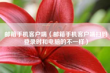 邮箱手机客户端（邮箱手机客户端扫码登录时和电脑的不一样）