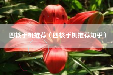 四核手机推荐（四核手机推荐知乎）