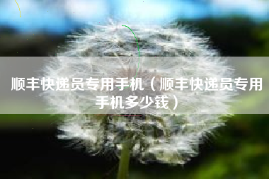 顺丰快递员专用手机（顺丰快递员专用手机多少钱）