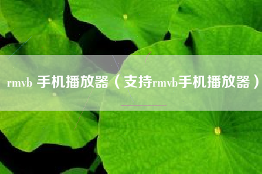 rmvb 手机播放器（支持rmvb手机播放器）