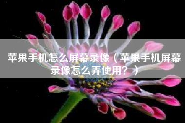 苹果手机怎么屏幕录像（苹果手机屏幕录像怎么弄使用？）