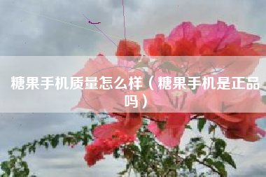 糖果手机质量怎么样（糖果手机是正品吗）