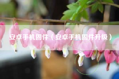 安卓手机固件（安卓手机固件升级）