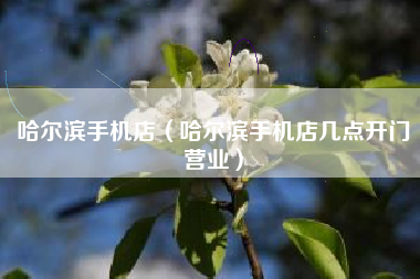 哈尔滨手机店（哈尔滨手机店几点开门营业）