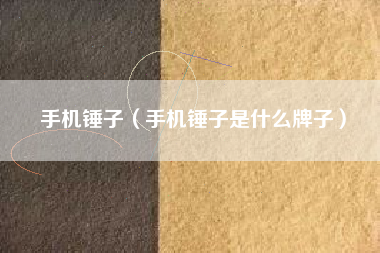 手机锤子（手机锤子是什么牌子）