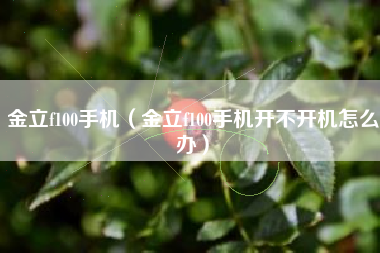 金立f100手机（金立f100手机开不开机怎么办）