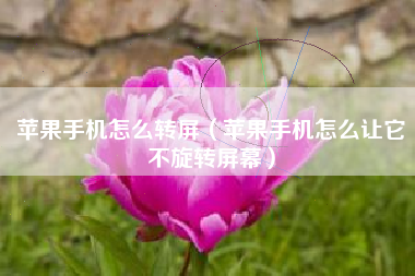 苹果手机怎么转屏（苹果手机怎么让它不旋转屏幕）