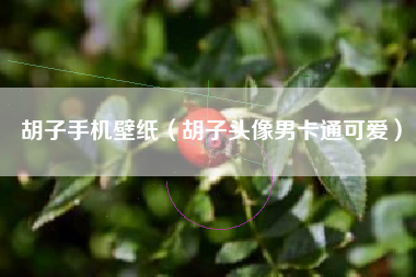 胡子手机壁纸（胡子头像男卡通可爱）