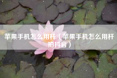 苹果手机怎么用杆（苹果手机怎么用杆拍抖音）
