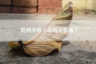 吃鸡手机（吃鸡手机版）