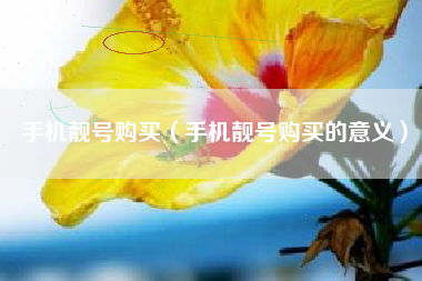 手机靓号购买（手机靓号购买的意义）