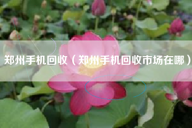 郑州手机回收（郑州手机回收市场在哪）