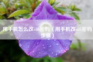 用手机怎么改wifi密码（用手机改wifi密码步骤）