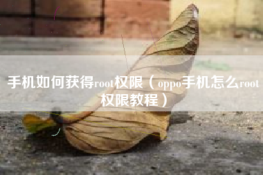 手机如何获得root权限（oppo手机怎么root权限教程）