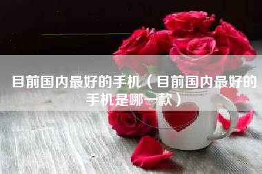目前国内最好的手机（目前国内最好的手机是哪一款）