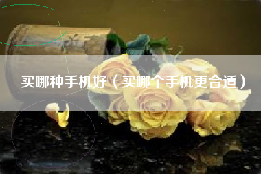 买哪种手机好（买哪个手机更合适）