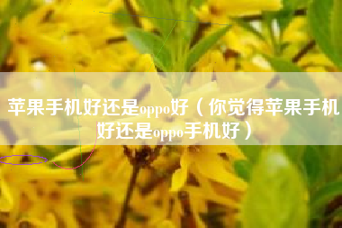 苹果手机好还是oppo好（你觉得苹果手机好还是oppo手机好）