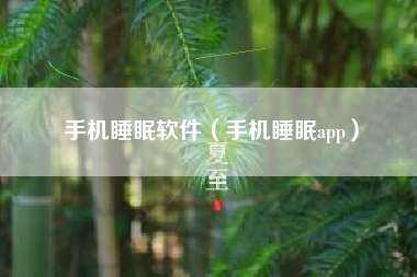 手机睡眠软件（手机睡眠app）