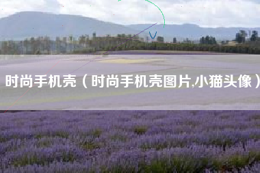 时尚手机壳（时尚手机壳图片,小猫头像）
