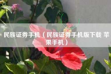 民族证券手机（民族证券手机版下载 苹果手机）