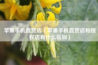 苹果手机直营店（苹果手机直营店和授权店有什么区别）