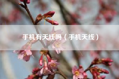 手机有天线吗（手机天线）