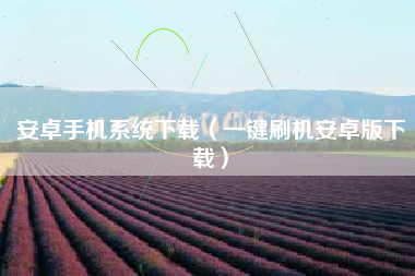 安卓手机系统下载（一键刷机安卓版下载）