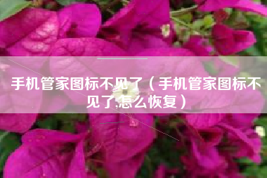 手机管家图标不见了（手机管家图标不见了,怎么恢复）