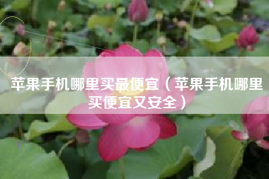 苹果手机哪里买最便宜（苹果手机哪里买便宜又安全）