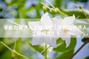 手机如何进入工程模式（手机如何进入工程模式？）
