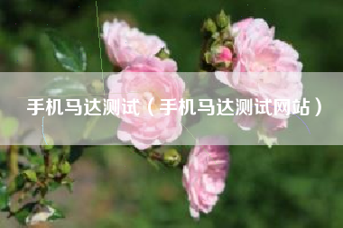 手机马达测试（手机马达测试网站）