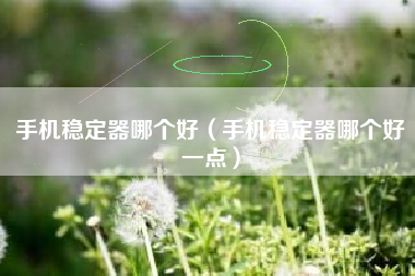 手机稳定器哪个好（手机稳定器哪个好一点）