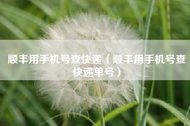 顺丰用手机号查快递（顺丰用手机号查快递单号）
