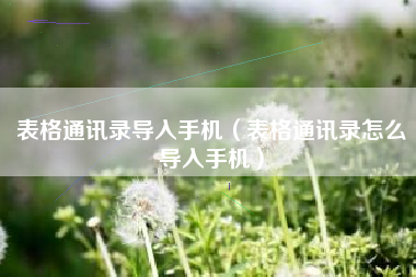 表格通讯录导入手机（表格通讯录怎么导入手机）