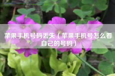 苹果手机号码丢失（苹果手机号怎么看自己的号码）