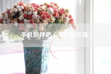 手机软件吧（手机软件埙）