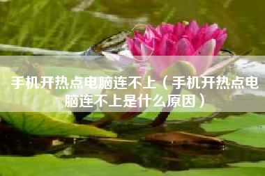 手机开热点电脑连不上（手机开热点电脑连不上是什么原因）