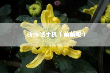 萌萌哒手机（萌萌哒）