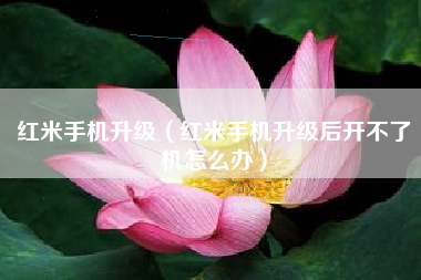 红米手机升级（红米手机升级后开不了机怎么办）