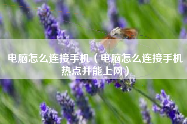 电脑怎么连接手机（电脑怎么连接手机热点并能上网）