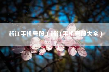 浙江手机号段（浙江手机号段大全）