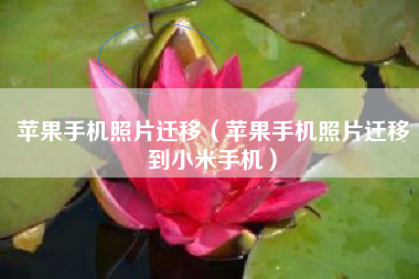 苹果手机照片迁移（苹果手机照片迁移到小米手机）