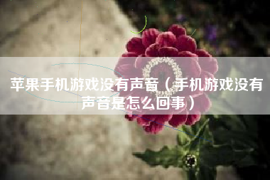 苹果手机游戏没有声音（手机游戏没有声音是怎么回事）