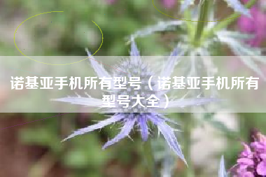 诺基亚手机所有型号（诺基亚手机所有型号大全）