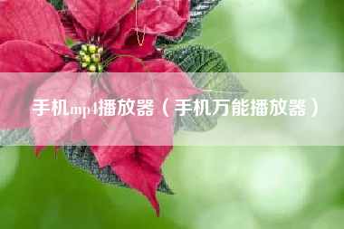 手机mp4播放器（手机万能播放器）