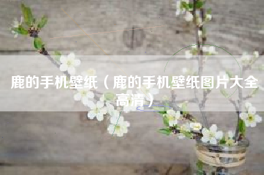 鹿的手机壁纸（鹿的手机壁纸图片大全高清）