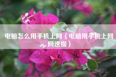 电脑怎么用手机上网（电脑用手机上网网速慢）