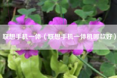 联想手机一体（联想手机一体机哪款好）