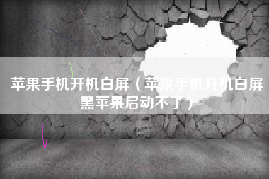 苹果手机开机白屏（苹果手机开机白屏黑苹果启动不了）